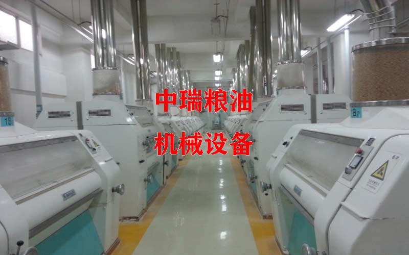 日产50吨大米生产线价格及清单.jpg